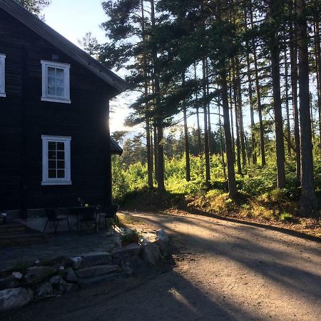 Breiva Gjestegaard Og Glamping ボー エクステリア 写真