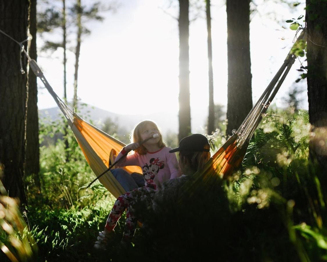 Breiva Gjestegaard Og Glamping ボー エクステリア 写真