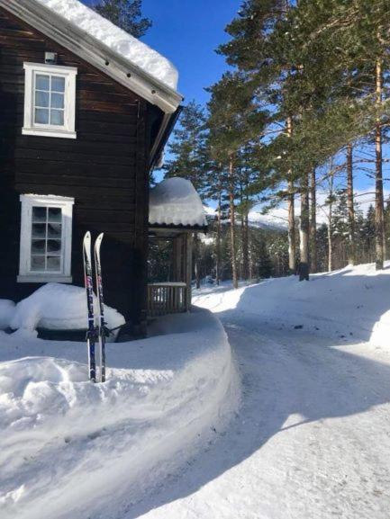 Breiva Gjestegaard Og Glamping ボー エクステリア 写真