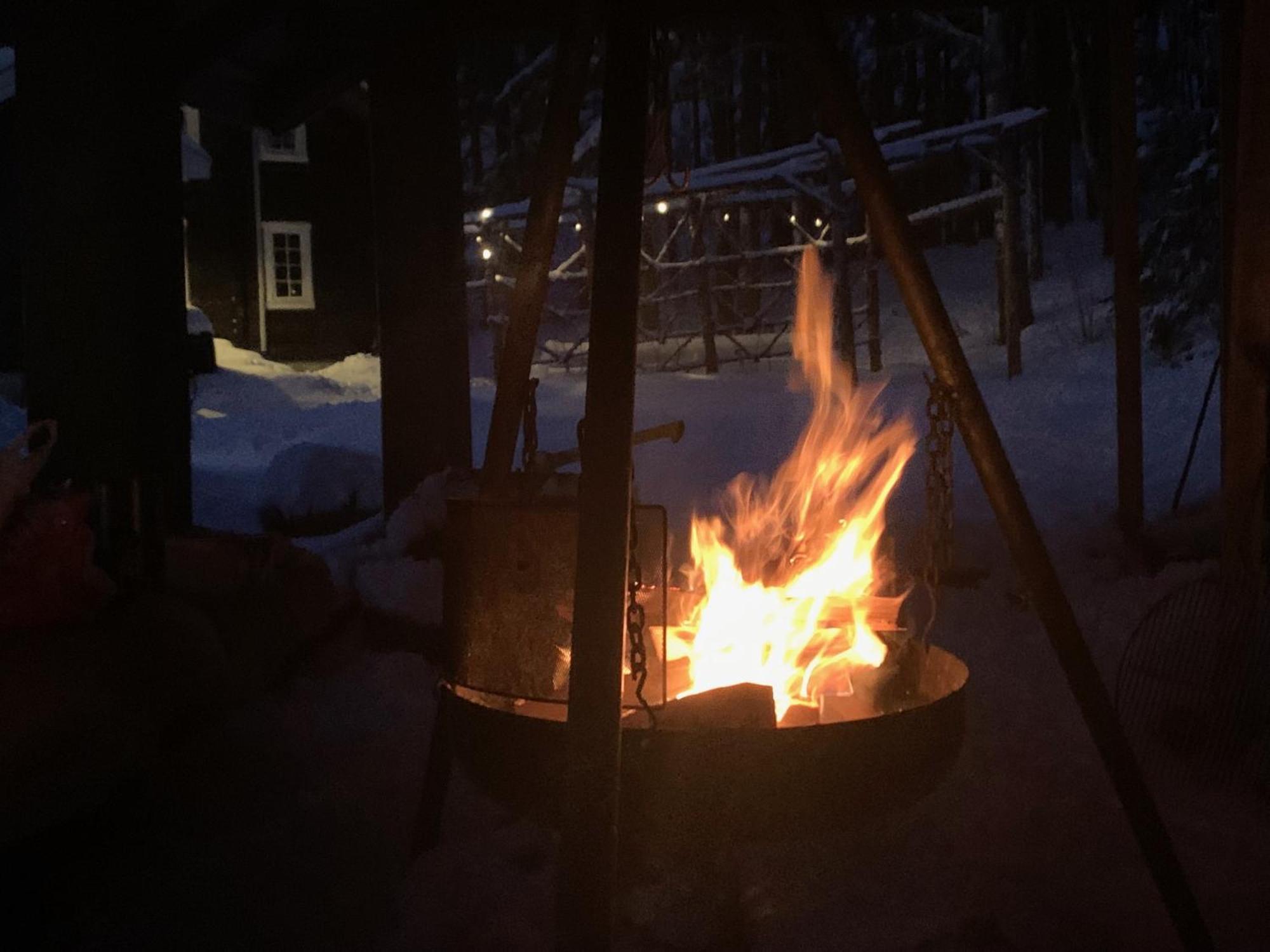 Breiva Gjestegaard Og Glamping ボー エクステリア 写真