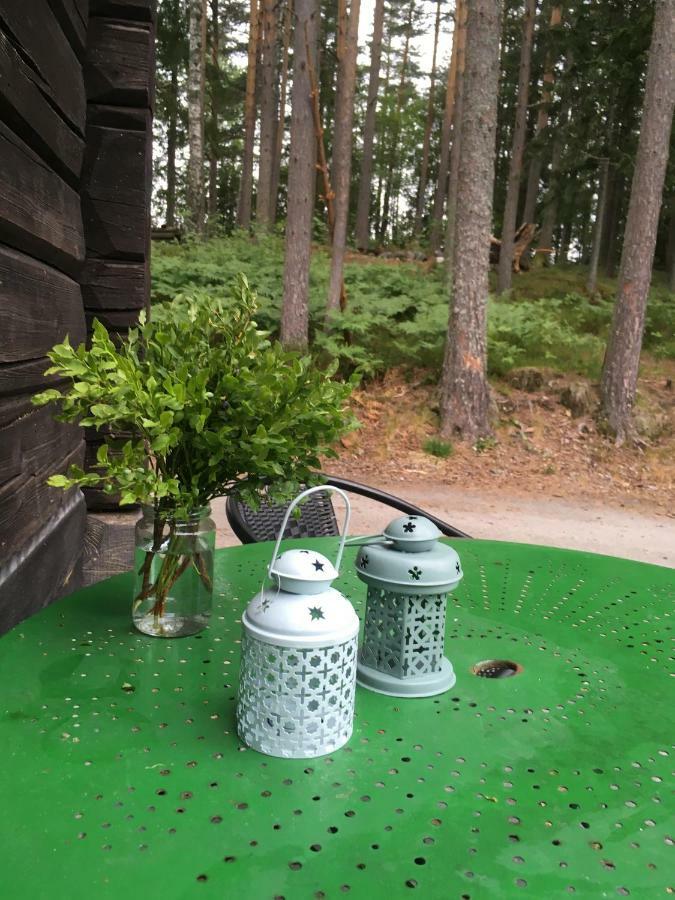 Breiva Gjestegaard Og Glamping ボー エクステリア 写真